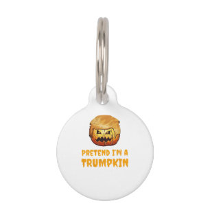 Médaillon Pour Animaux Citrouille Trumpkin
