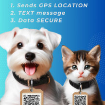 Code QR de balise de chien rond
