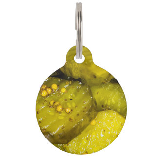 Médaillon Pour Animaux Colle