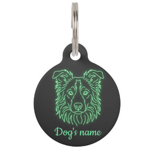 Médaillon Pour Animaux Collier Neon Border Collie Lumière Étiquette d'ide