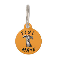 Compagne de l'âme galgo drôle, whippet, lévrier