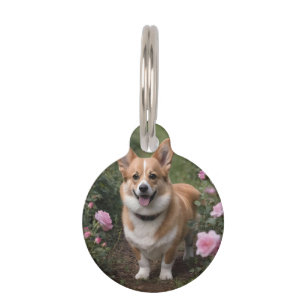 Médaillon Pour Animaux "Compagnon Charmant : Un Corgi dans un jardin de r