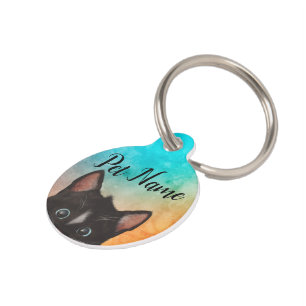 Médaillon Pour Animaux Couleurs de chats mignonnes