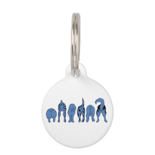 Médaillon Pour Animaux Culs de chien bleu
