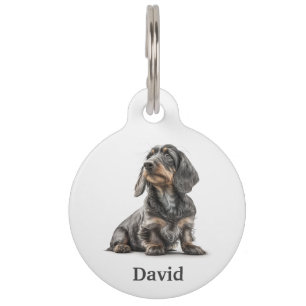 Médaillon Pour Animaux Dachshund à poil dur Personnaliser