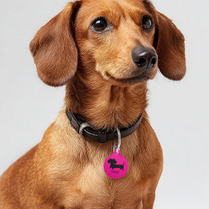Médaillon Pour Animaux Dachshund ID Chien Tags rose personnalisé