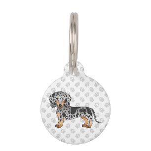 Médaillon Pour Animaux Dachshund poilu lisse noir et feu Chien mignon Ani