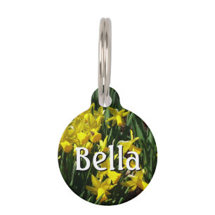 Médaillon Pour Animaux Daffodiles Jaunes I Fleurs De Printemps Cheveux