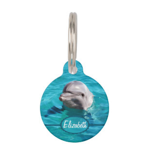 Médaillon Pour Animaux Dauphin en photo de l'eau bleue