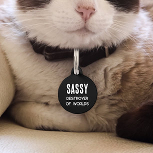 Médaillon Pour Animaux Destructeur de mondes chat drôle