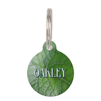 Médaillon Pour Animaux Détail de la veine Feuille verte