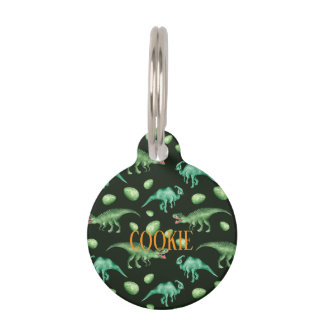 Médaillon Pour Animaux Dinosaure
