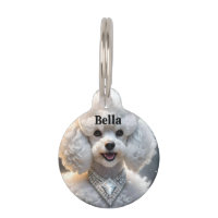 "Diva Diamant : le caniche glamour en étincelles"