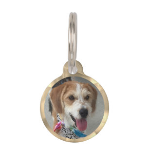 Médaillon Pour Animaux do-it-yourself Nom et info de la photo, Gold Kalei