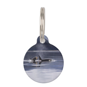 Médaillon Pour Animaux Épaulards