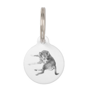 Médaillon Pour Animaux Étiquette de plaisir pour chiots