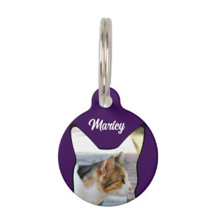 Médaillon Pour Animaux Étiquette d'identification de photo de chat