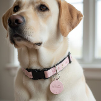 Médaillon Pour Animaux Étiquette d'identification personnalisée pour chie