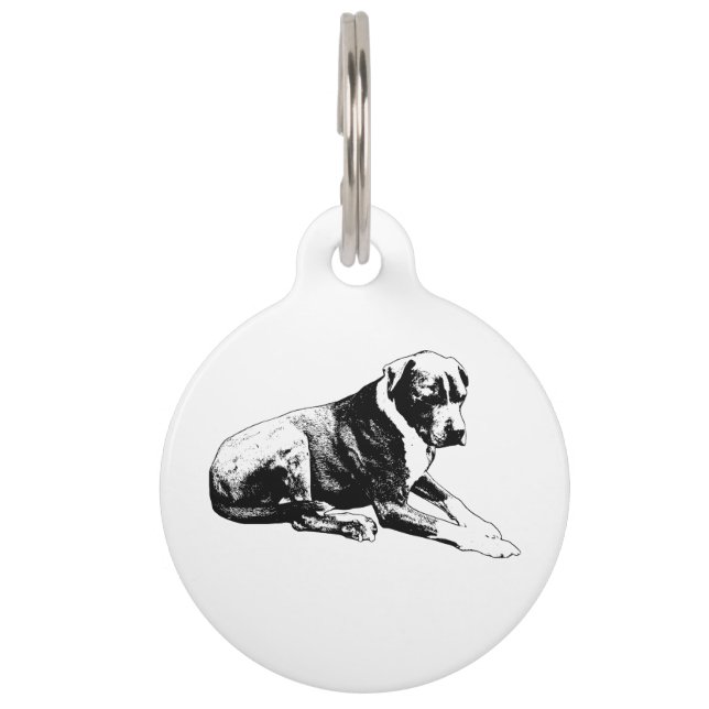 Médaillon Pour Animaux Étiquette Lean Solide et Sûre (Devant)
