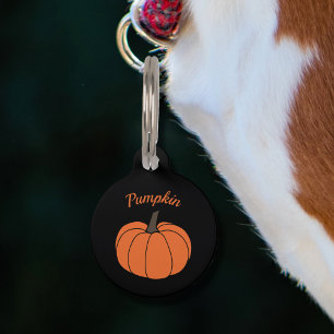 Médaillon Pour Animaux Étiquette pour animal de compagnie Citrouille