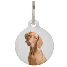 Étiquettes de chien/animal de compagnie d'identifi