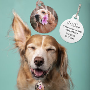 Médaillon Pour Animaux Étiquettes de chien/animal de compagnie d'identifi