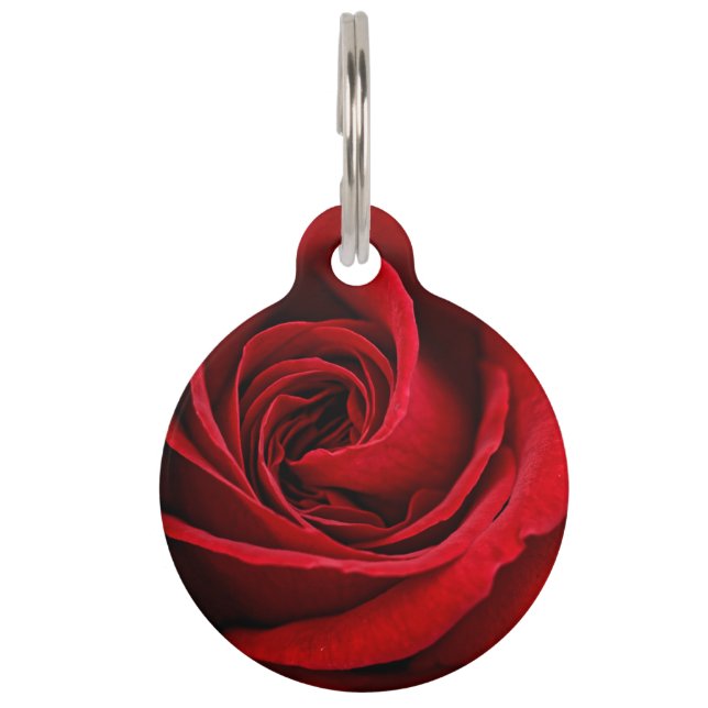 Médaillon Pour Animaux Fin lumineuse de rose rouge (Devant)