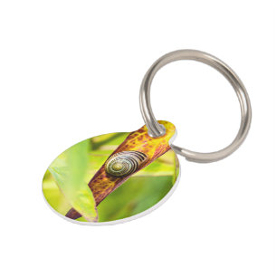 Médaillon Pour Animaux fixation calme