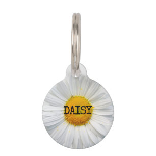 Médaillon Pour Animaux Fleur Daisy
