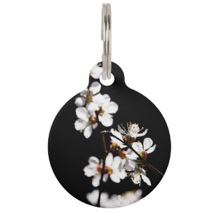 Médaillon Pour Animaux Fleurs Sakura