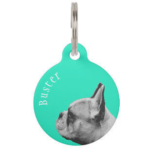 Médaillon Pour Animaux Français   French Bulldog   Aqua personnalisé