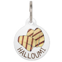 Fried Halloumi Chypriote Haloumi Fromage