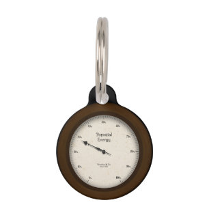Médaillon Pour Animaux Gage énergétique potentiel Steampunk personnalis