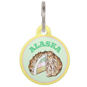 Médaillon Pour Animaux Gâteau glacé bombe Alaska cuit au four dessert nou