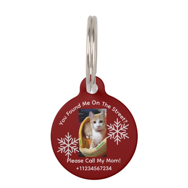 Médaillon Pour Animaux Ginger Cat Photo Et Texte, Personnalisable, Noël (Dos)