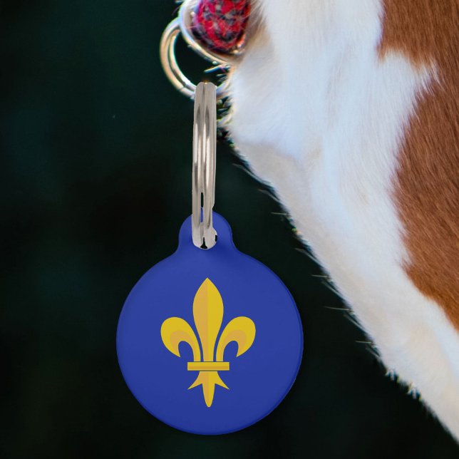 Médaillon Pour Animaux Gold Fleur de Lis sur Royal Blue (Gold Fleur de Lis on Royal Blue Pet ID Tag)