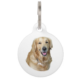 Médaillon Pour Animaux Golden Retriever dog photo