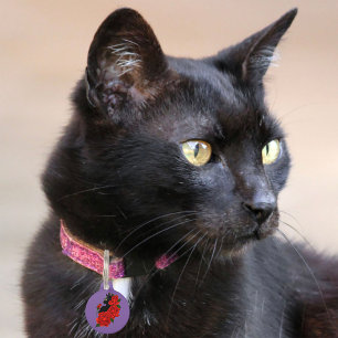 Médaillon Pour Animaux Gothique Chat Noir Roses Rouges Violet