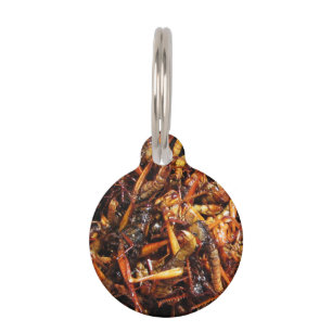 Médaillon Pour Animaux Grasshopper frit (Takkataen Thot) Alimentation asi