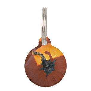 Médaillon Pour Animaux Grosse citrouille orange