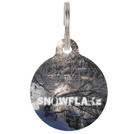 Médaillon Pour Animaux Hafren de Cold River