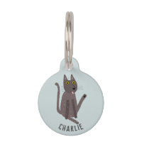 Humour de chat drôle