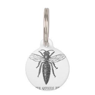 Médaillon Pour Animaux Illustration d'antiquité de l'insecte de la reine