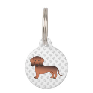 Médaillon Pour Animaux Illustration de chien teckel à poil lisse rouge sa