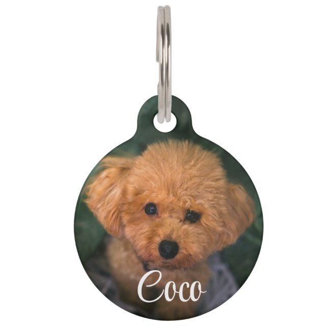 Médaillon Pour Animaux Image personnalisée Chien QR Code Nom de l'animal  (Devant)