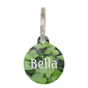 Médaillon Pour Animaux Impression botanique verte Ivy