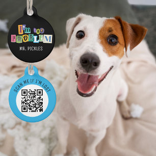 Médaillon Pour Animaux Je suis la collection de problèmes