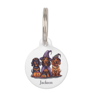 Médaillon Pour Animaux Joyeux Chiens sorciers Halloween Dachshund