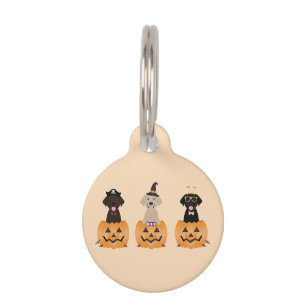 Médaillon Pour Animaux Joyeux Citrouille de chiens de trieuse d'Halloween