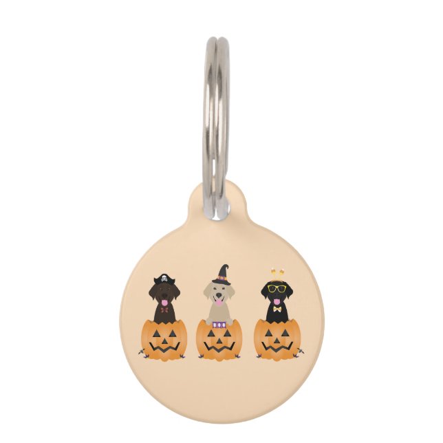 Médaillon Pour Animaux Joyeux Citrouille de chiens de trieuse d'Halloween (Devant)